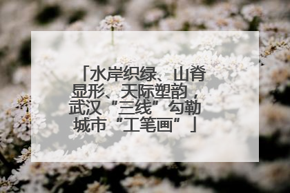 水岸织绿、山脊显形、天际塑韵，武汉“三线”勾勒城市“工笔画”